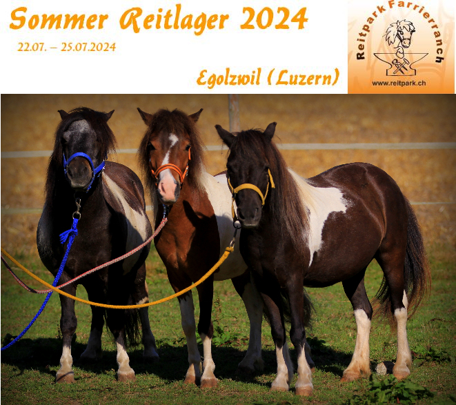 Picture Ausschreibung Sommer Reitlager 2024
